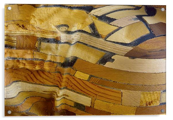 Wood Layers Acrylic by Harry Hadders