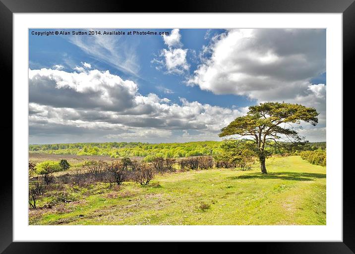 Bratley View , New Forest Framed Mounted Print by Alan Sutton
