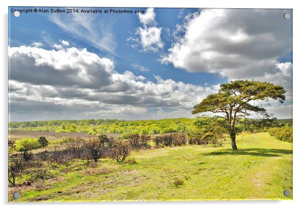 Bratley View , New Forest Acrylic by Alan Sutton