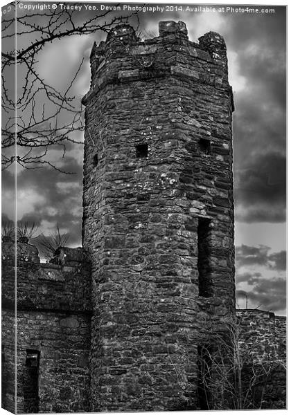 East Wall Tower Canvas Print by Tracey Yeo