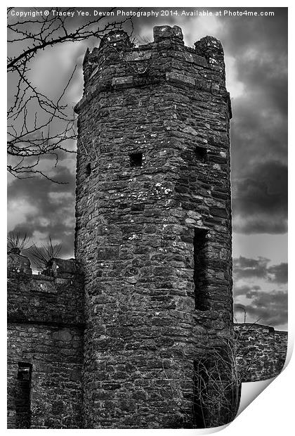 East Wall Tower Print by Tracey Yeo