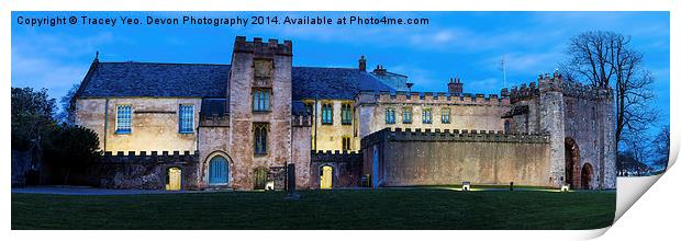 Torre Abbey Floodlit Print by Tracey Yeo