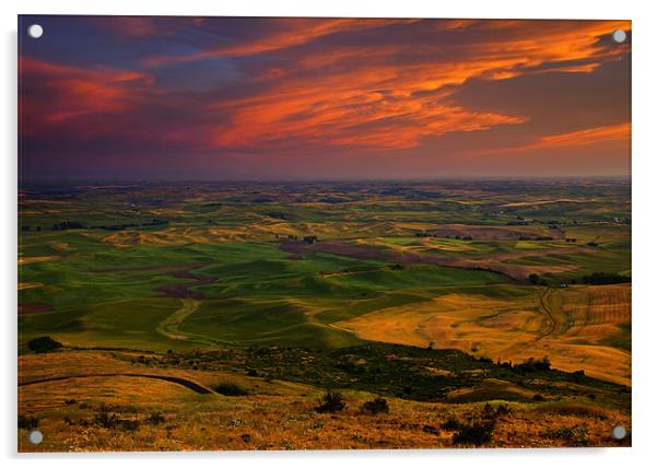 Red Sky over the Palouse Acrylic by Mike Dawson