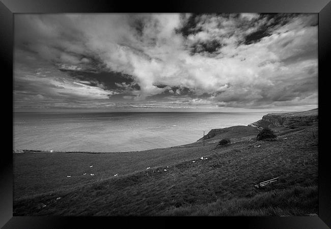 Great Orme View Framed Print by Sean Wareing