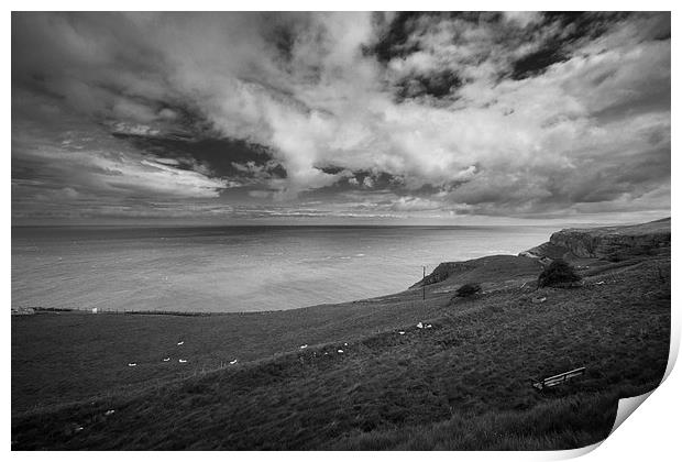 Great Orme View Print by Sean Wareing