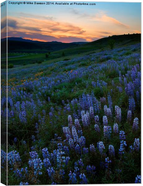 Kittitas Valley Spring Canvas Print by Mike Dawson