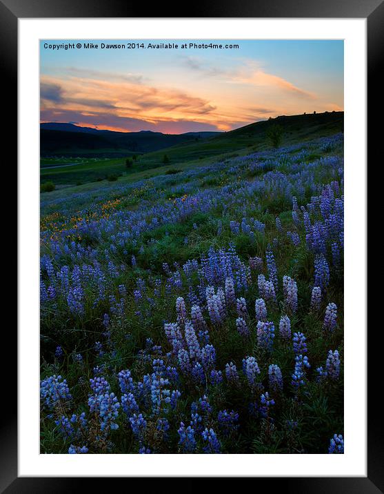 Kittitas Valley Spring Framed Mounted Print by Mike Dawson