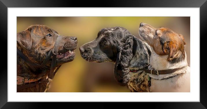Doggie Gossip Framed Mounted Print by Linsey Williams