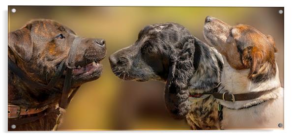 Doggie Gossip Acrylic by Linsey Williams
