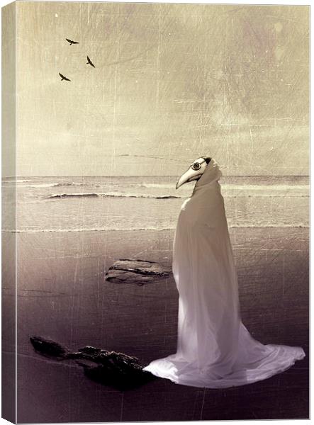 Raven Queen of Lyonesse Canvas Print by Dawn Cox