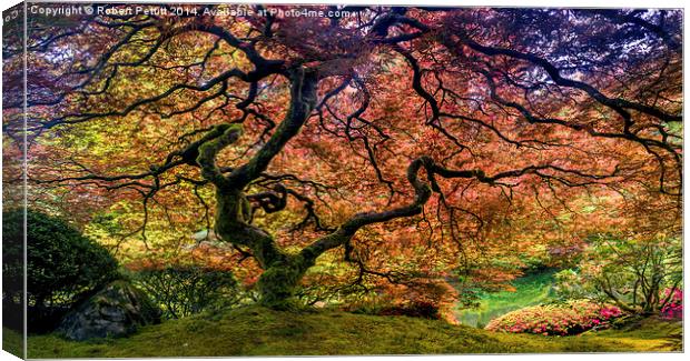 Tree of Life Canvas Print by Robert Pettitt