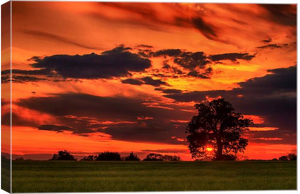 Spring sunset Canvas Print by Mark Bunning