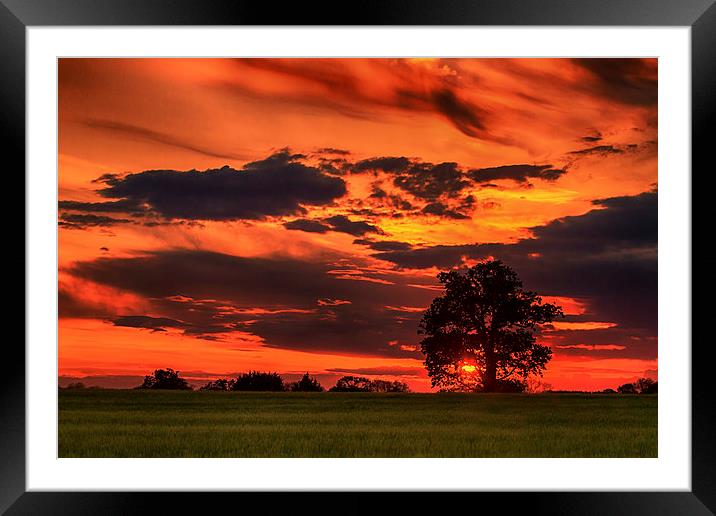 Spring sunset Framed Mounted Print by Mark Bunning