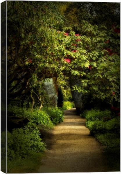 Enchanted Garden Path Canvas Print by Robert Murray
