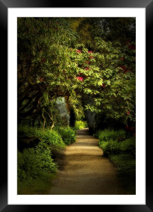 Enchanted Garden Path Framed Mounted Print by Robert Murray