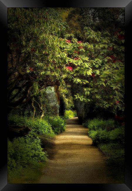 Enchanted Garden Path Framed Print by Robert Murray
