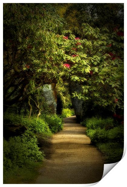 Enchanted Garden Path Print by Robert Murray