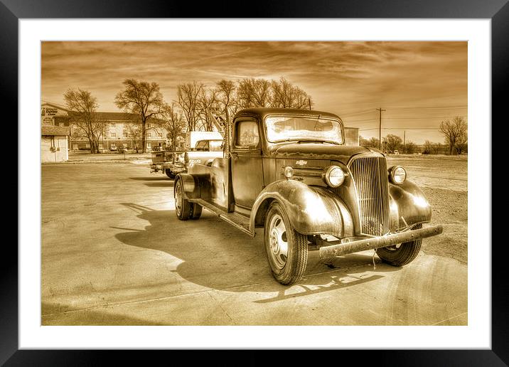 Chevitoned Framed Mounted Print by Rob Hawkins