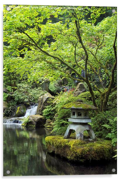 Japanese Garden Acrylic by Robert Pettitt