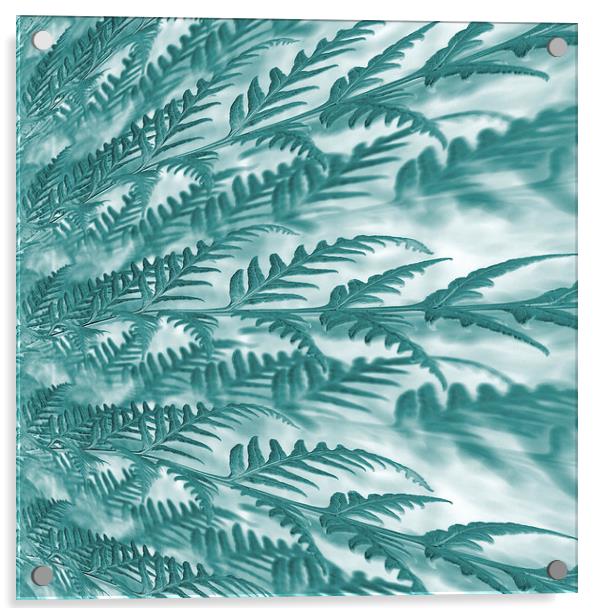 frosted fern Acrylic by Heather Newton