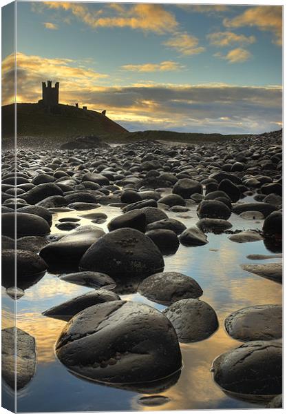 Dunstanburgh Castle, Northumberland Canvas Print by Martin Williams
