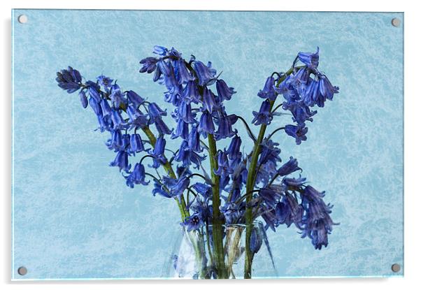 Bluebells 1 Acrylic by Steve Purnell