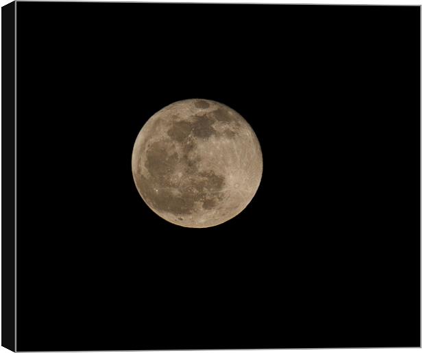 Full Moon Canvas Print by Peter West