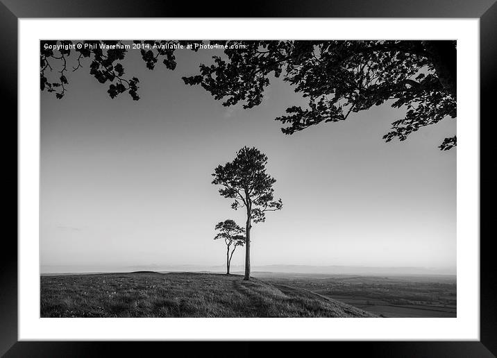 Trees on the terrace Framed Mounted Print by Phil Wareham