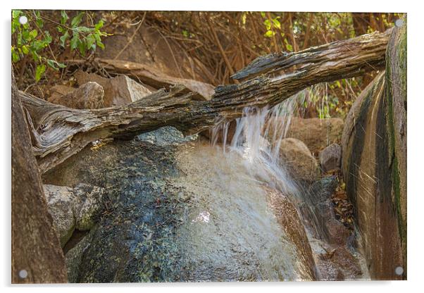Wooden Waterfall at Kwa Madwala Acrylic by colin chalkley