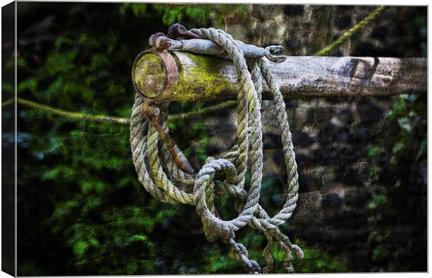 Old Rope in Colour Canvas Print by David Hare