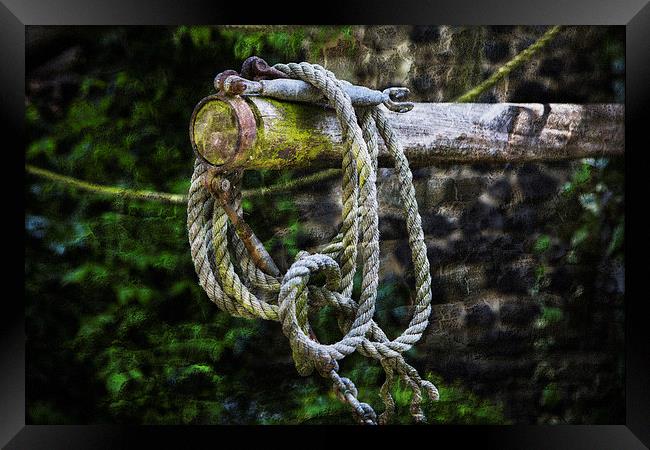 Old Rope in Colour Framed Print by David Hare