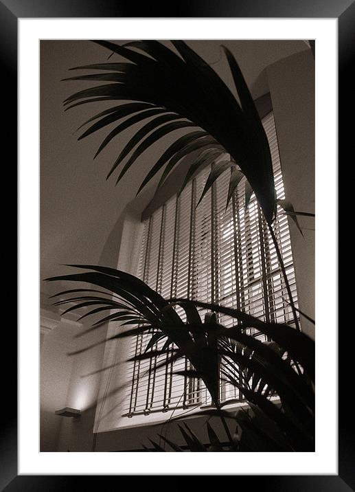 Blind Palm Framed Mounted Print by Karen Martin