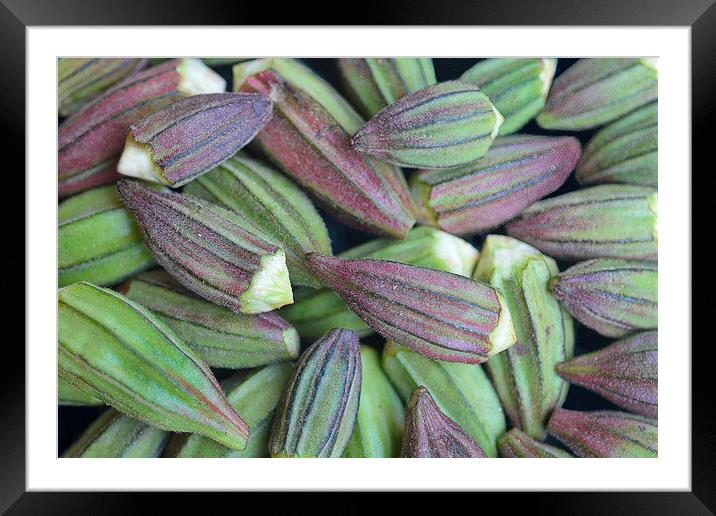 Okra Framed Mounted Print by Jacqueline Burrell