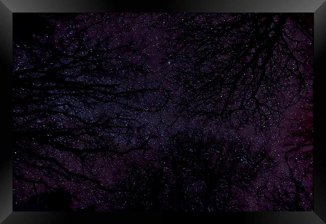 Stars Through Trees Framed Print by Col Sm