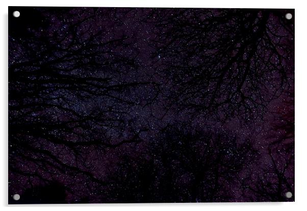 Stars Through Trees Acrylic by Col Sm