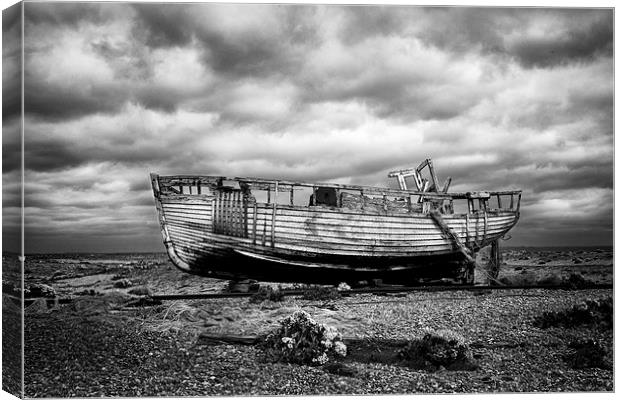 High and Dry Canvas Print by David Hare