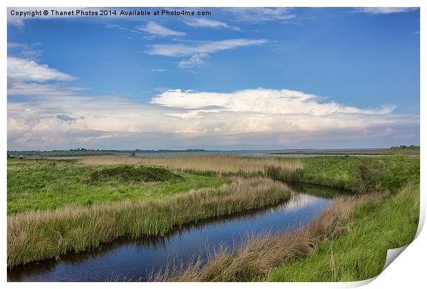 oare marshes Print by Thanet Photos