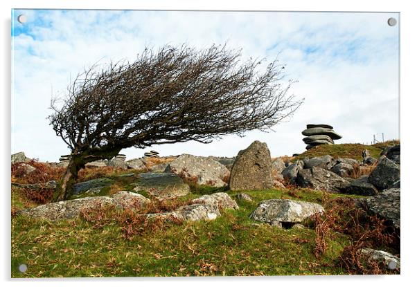 Bodmin Moor, Cornwall, UK Acrylic by Kevin Britland