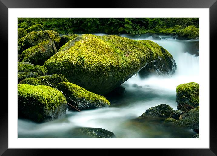 Steadfast Framed Mounted Print by Mike Dawson