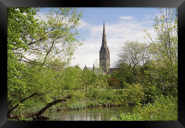 Salisbury Cathedral Framed Print by Val Saxby LRPS