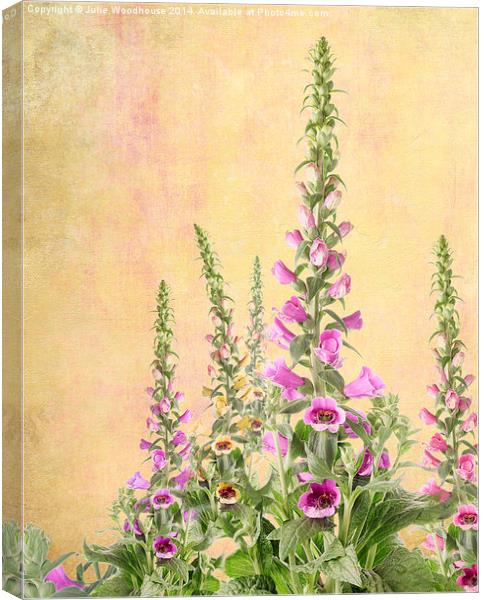 Digitalis Purpurea Canvas Print by Julie Woodhouse