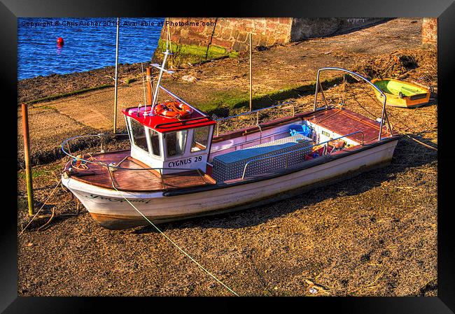 Sprightly Sea Raider Framed Print by Chris Archer