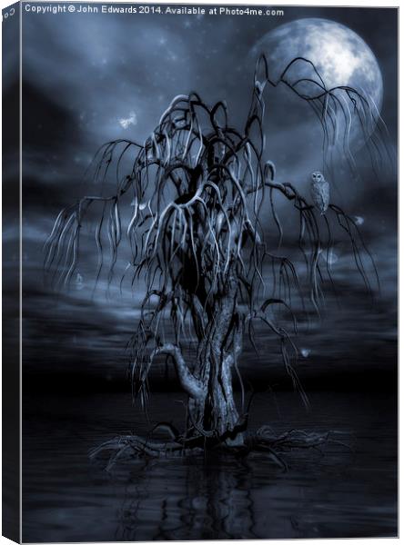 The Tree of Sawols Cyanotype Canvas Print by John Edwards