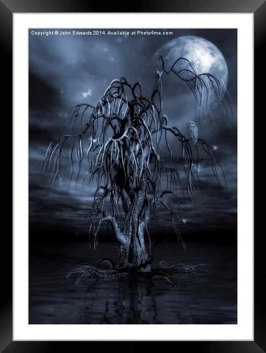 The Tree of Sawols Cyanotype Framed Mounted Print by John Edwards