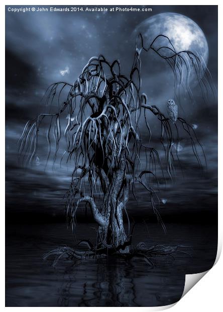 The Tree of Sawols Cyanotype Print by John Edwards