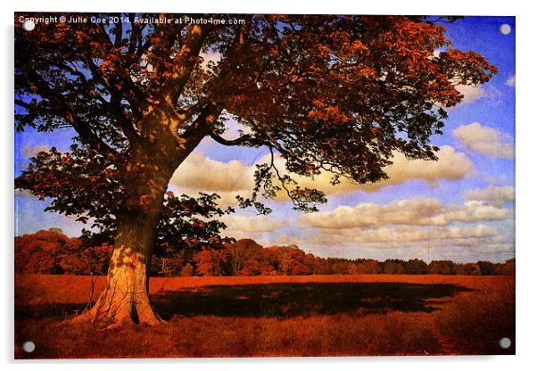 Blickling, Norfolk 10 Acrylic by Julie Coe