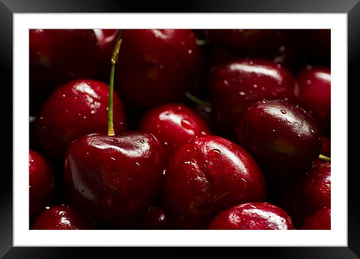 Red Cherries Framed Mounted Print by Sue Dudley