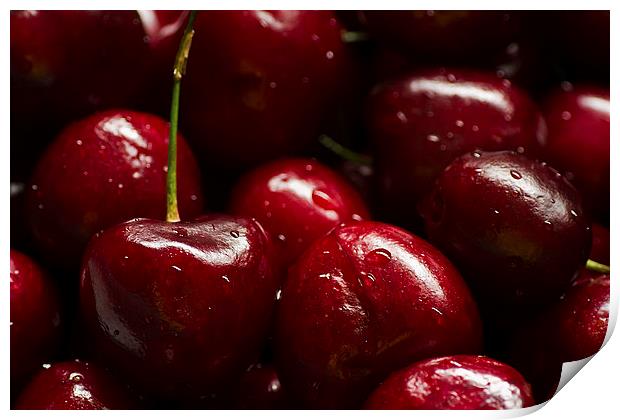 Red Cherries Print by Sue Dudley