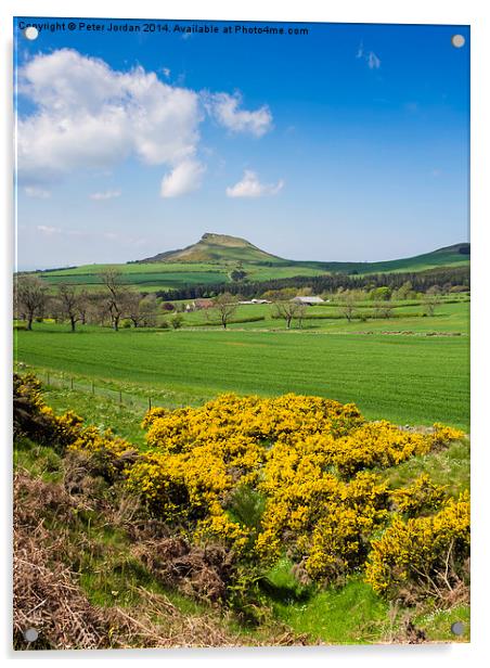 Roseberry Topping Spring Acrylic by Peter Jordan