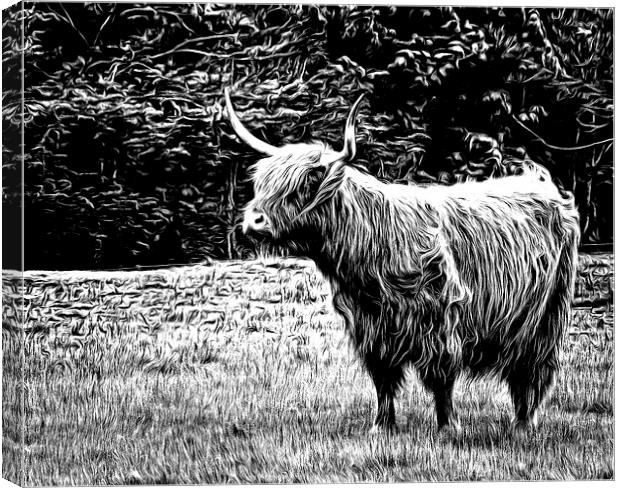 Highland Cow Carved Canvas Print by Fraser Hetherington